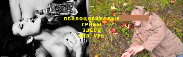 не бодяженный Инсар