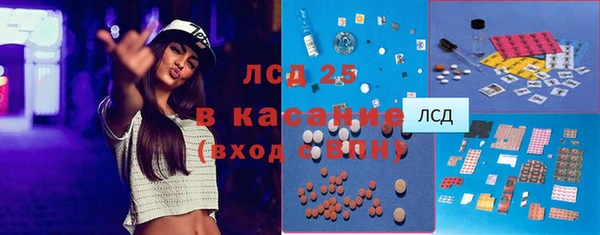 сатива Инта