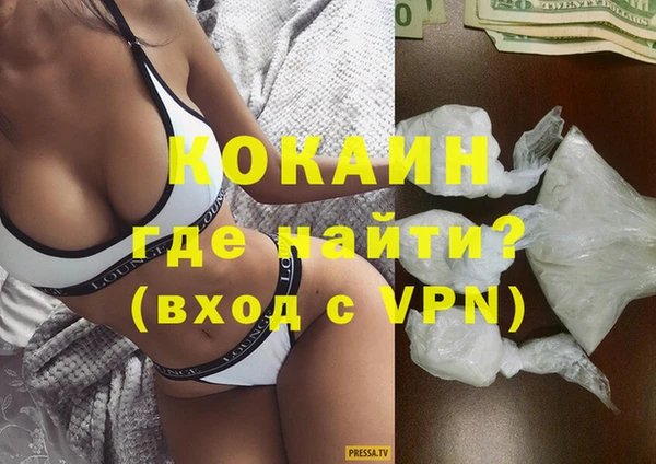 сатива Инта