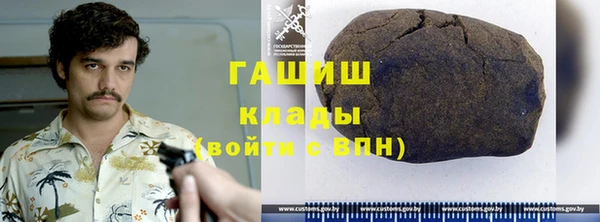 сатива Инта