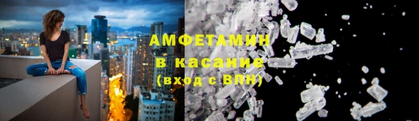 сатива Инта
