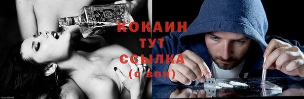 сатива Инта
