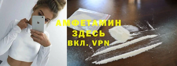 сатива Инта