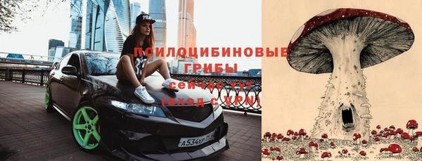 сатива Инта