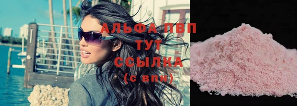 прущие грибы Зеленодольск