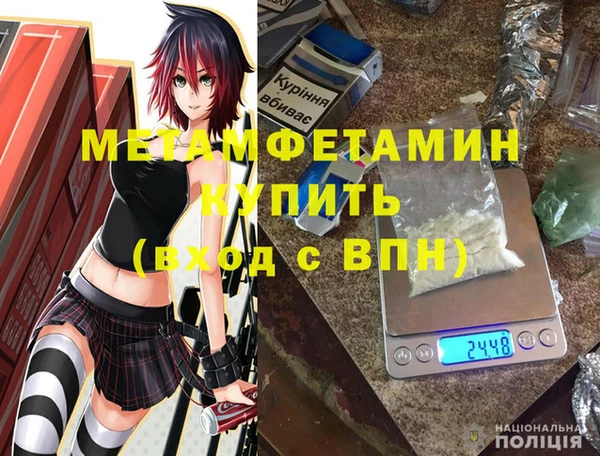 сатива Инта